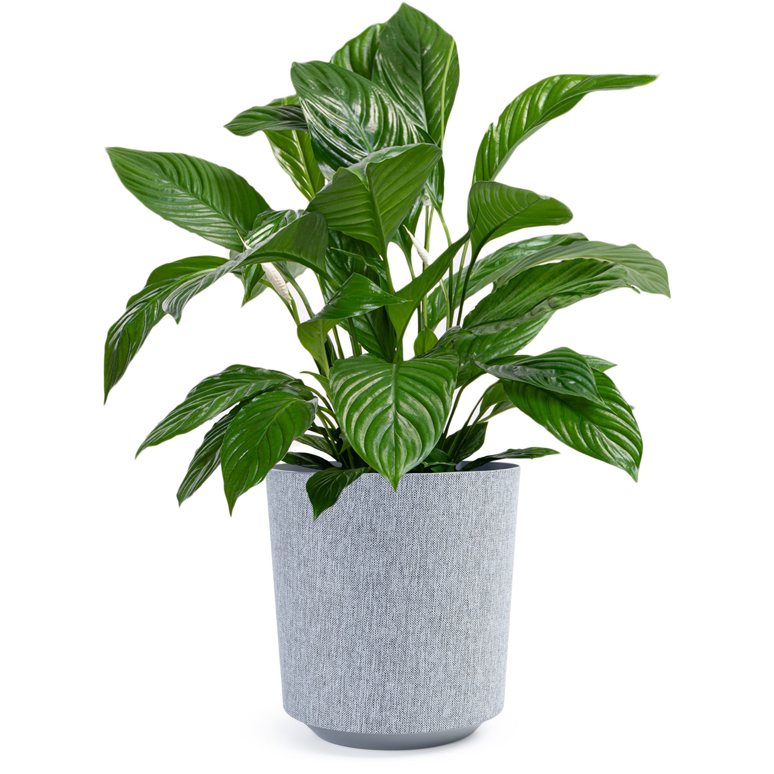 KONZEPT Blumentopf Pflanztopf in Textil-Optik (1 St), Übertöpfe aus Kunstst günstig online kaufen