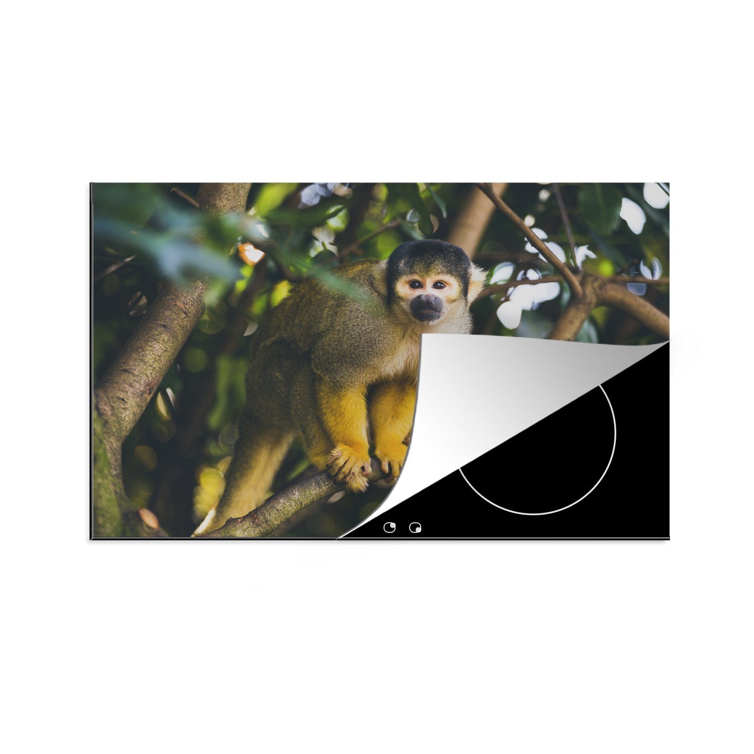 MuchoWow Herdblende-/Abdeckplatte Nahaufnahme Affe im Baum, Vinyl, (1 tlg), 81x52 cm, Induktionskochfeld Schutz für die küche, Ceranfeldabdeckung