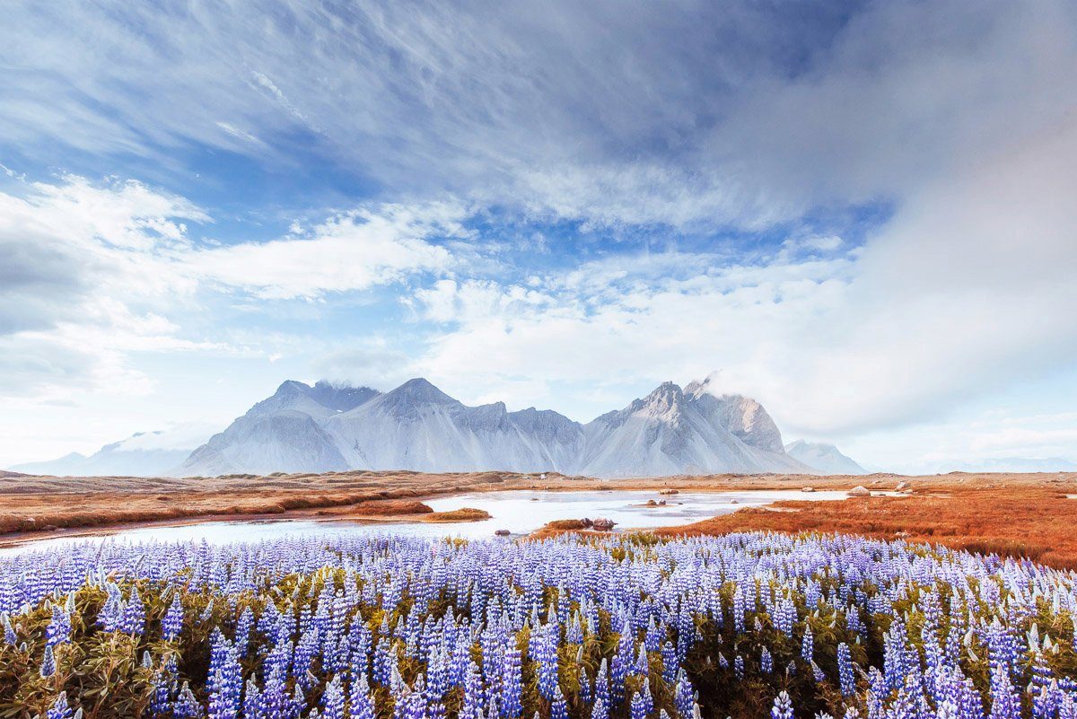 Fototapete Island-Ansicht Papermoon