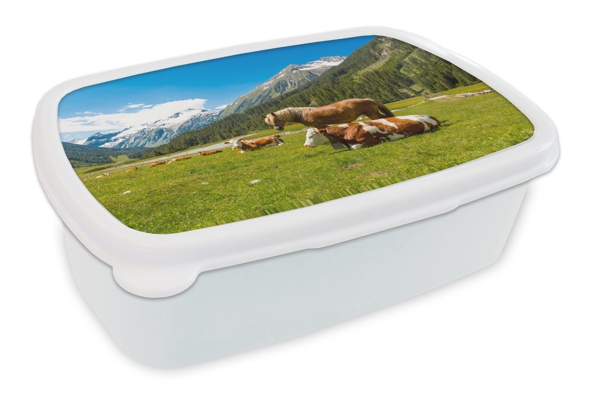 - - Jungs für Kinder Brotbox Mädchen und Lunchbox (2-tlg), Brotdose, Erwachsene, weiß für Kunststoff, Alpen, MuchoWow und Kühe Pferde