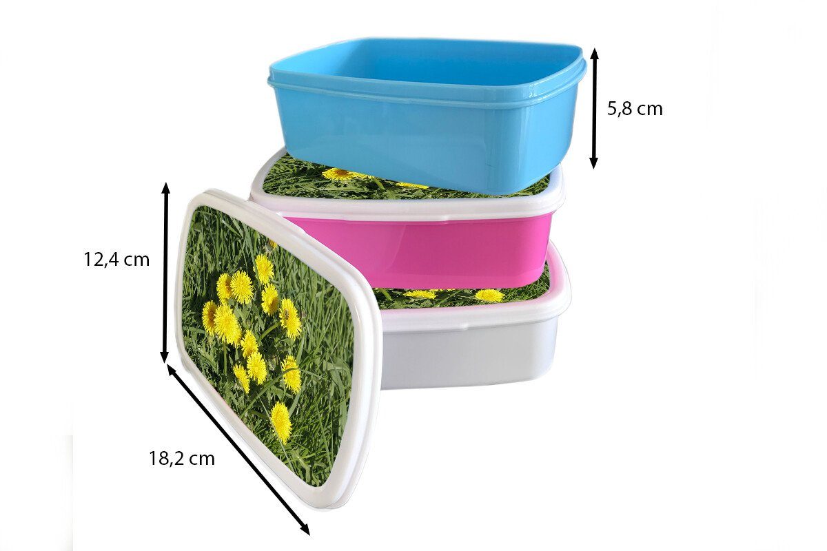 MuchoWow Lunchbox (2-tlg), Kinder, rosa - Kunststoff Löwenzahn Erwachsene, Kunststoff, Mädchen, Brotdose für Brotbox Frühling, Gras - Snackbox