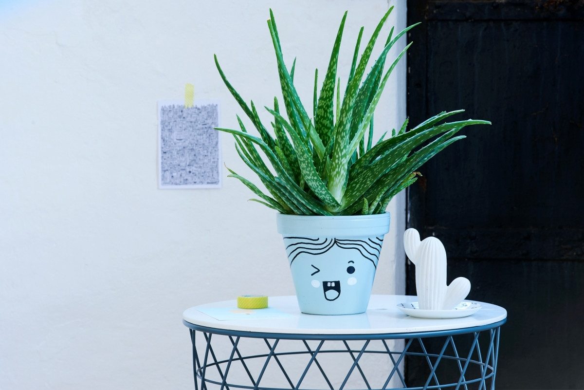 edding Permanentmarker Glanzlack-Marker edding 750 weiß