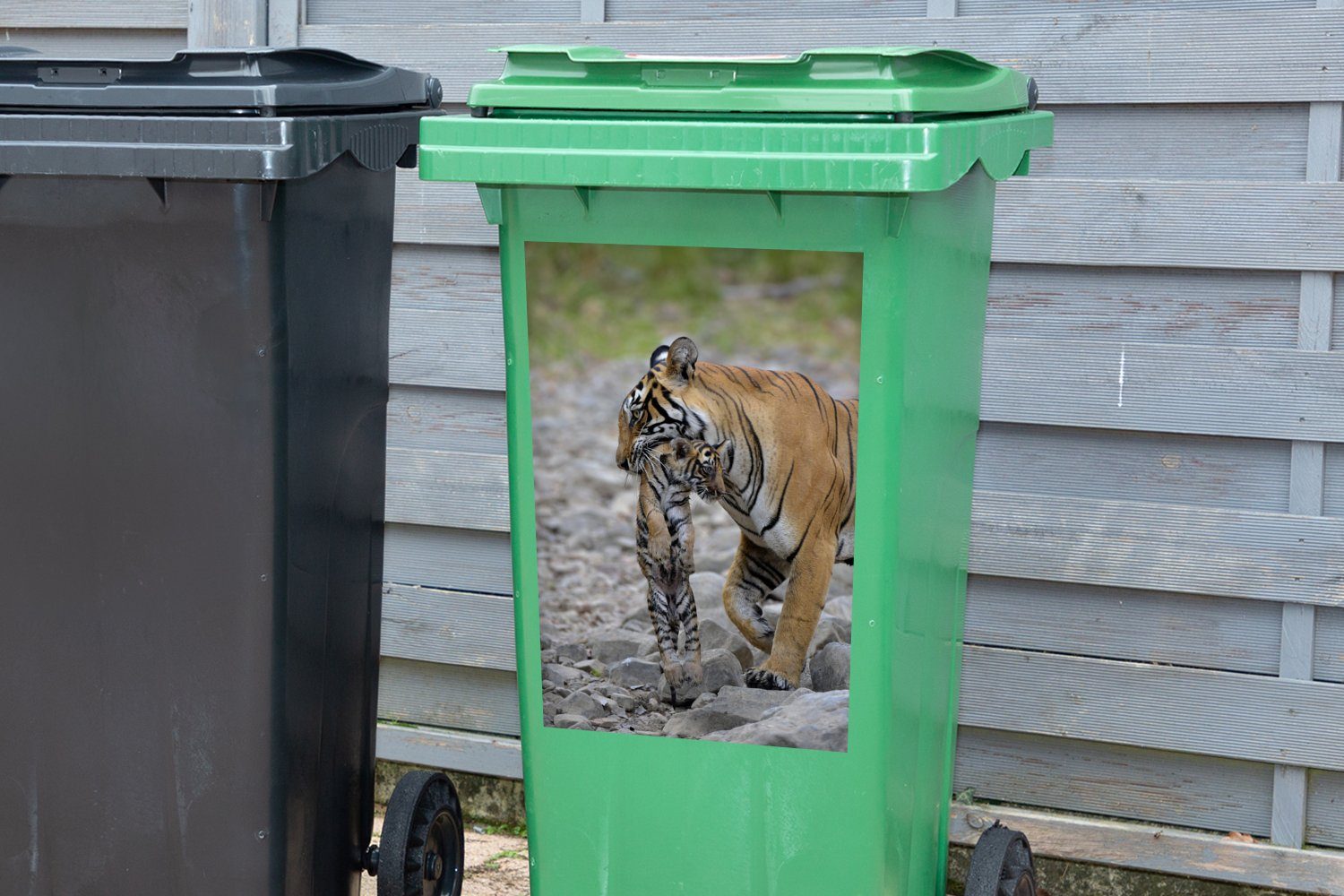 Sticker, Mülleimer-aufkleber, MuchoWow Wandsticker Tigerin Container, Abfalbehälter Jungtier ihrem (1 mit Mülltonne, St),
