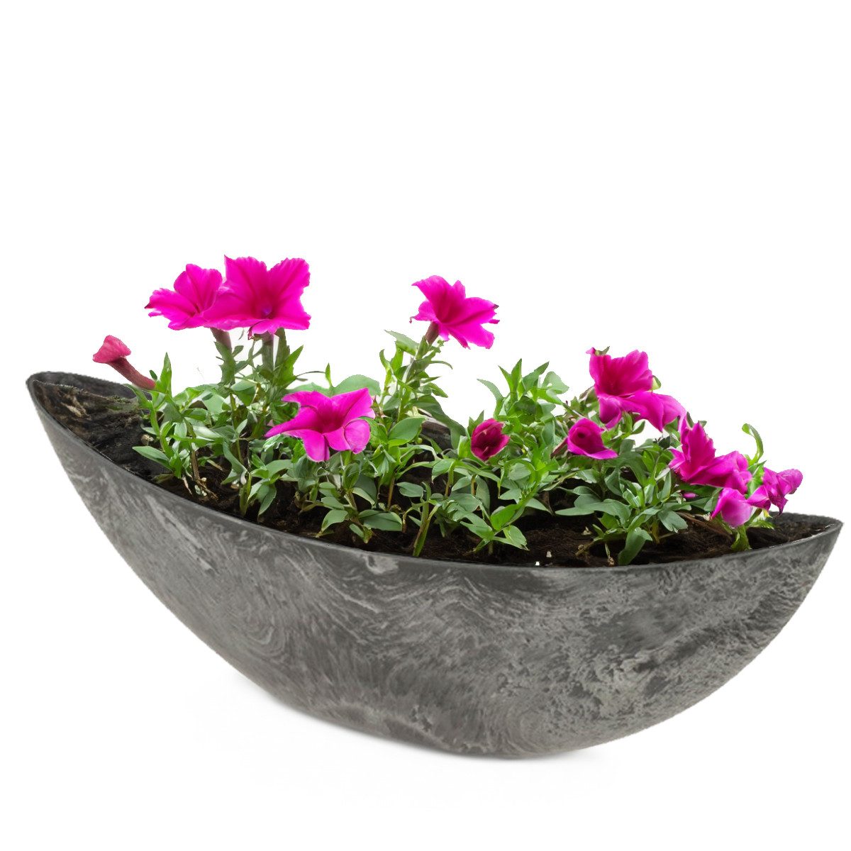 matches21 HOME & HOBBY Blumentopf Große Pflanzschale oval 55 cm für draussen Dekoschale schwarz (1 St), Blumen-Schale als wetterfeste Friedhof-Schale Grab-Schmuck Grabschale