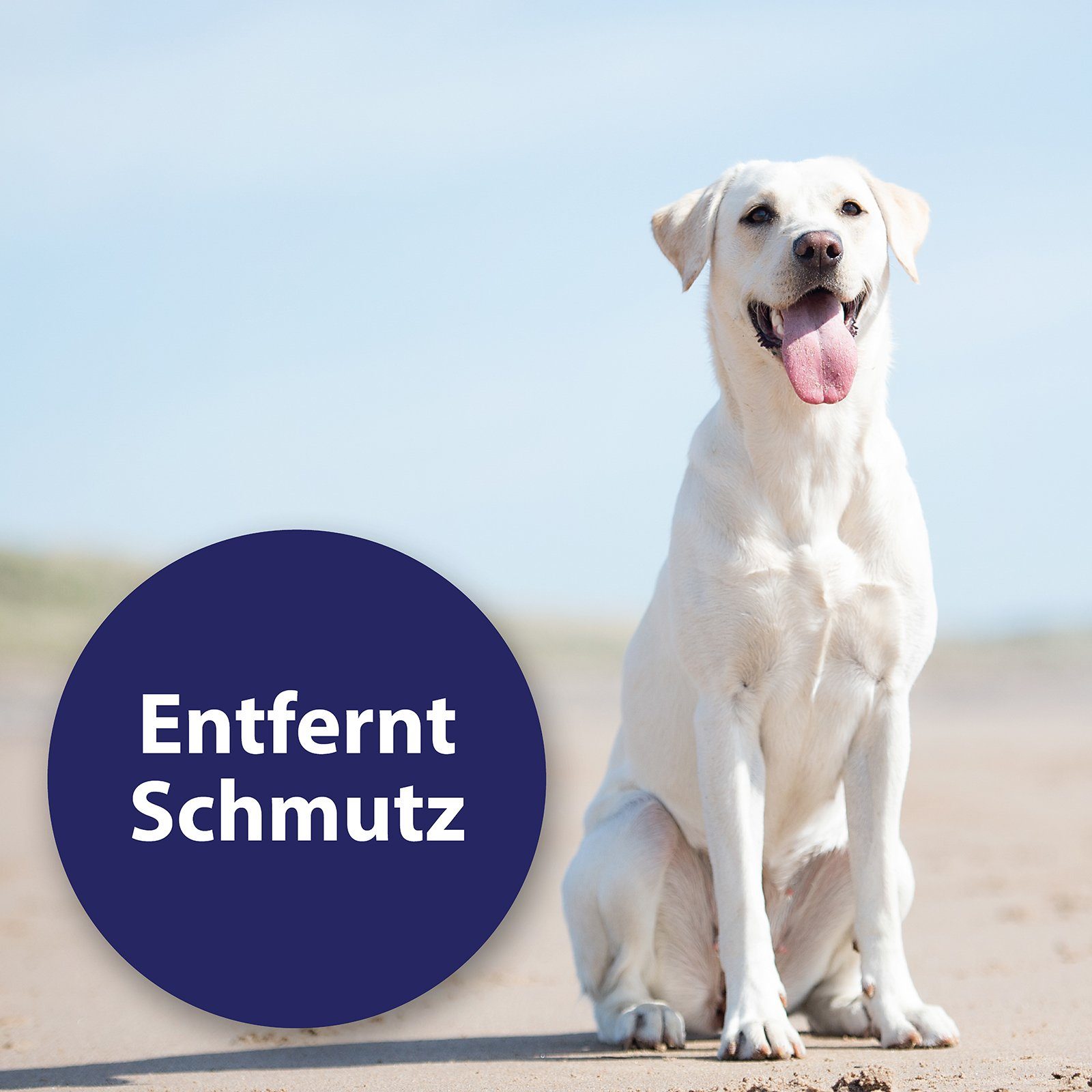 Canosept Fellpflege Canosept Ohrpflege Finger-Pads für Hunde 50 Stück