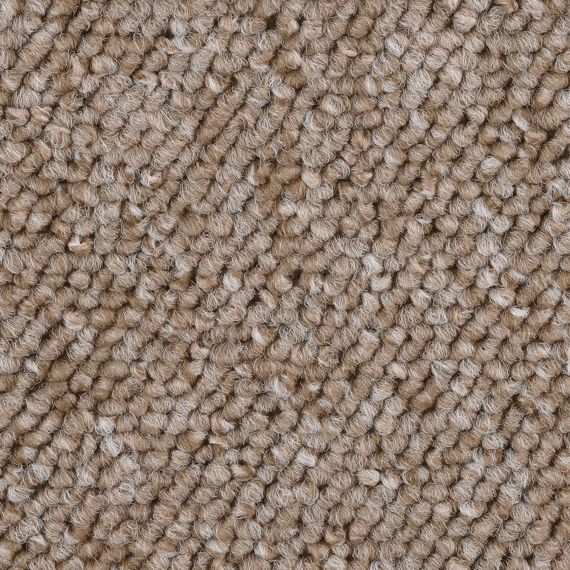 Teppichboden Schlingenteppich Astano, Bodenmeister, rechteckig, Höhe: 6 mm, Wohnzimmer, Schlafzimmer, Kinderzimmer, Breite 400/500 cm beige | Kurzflor-Teppiche