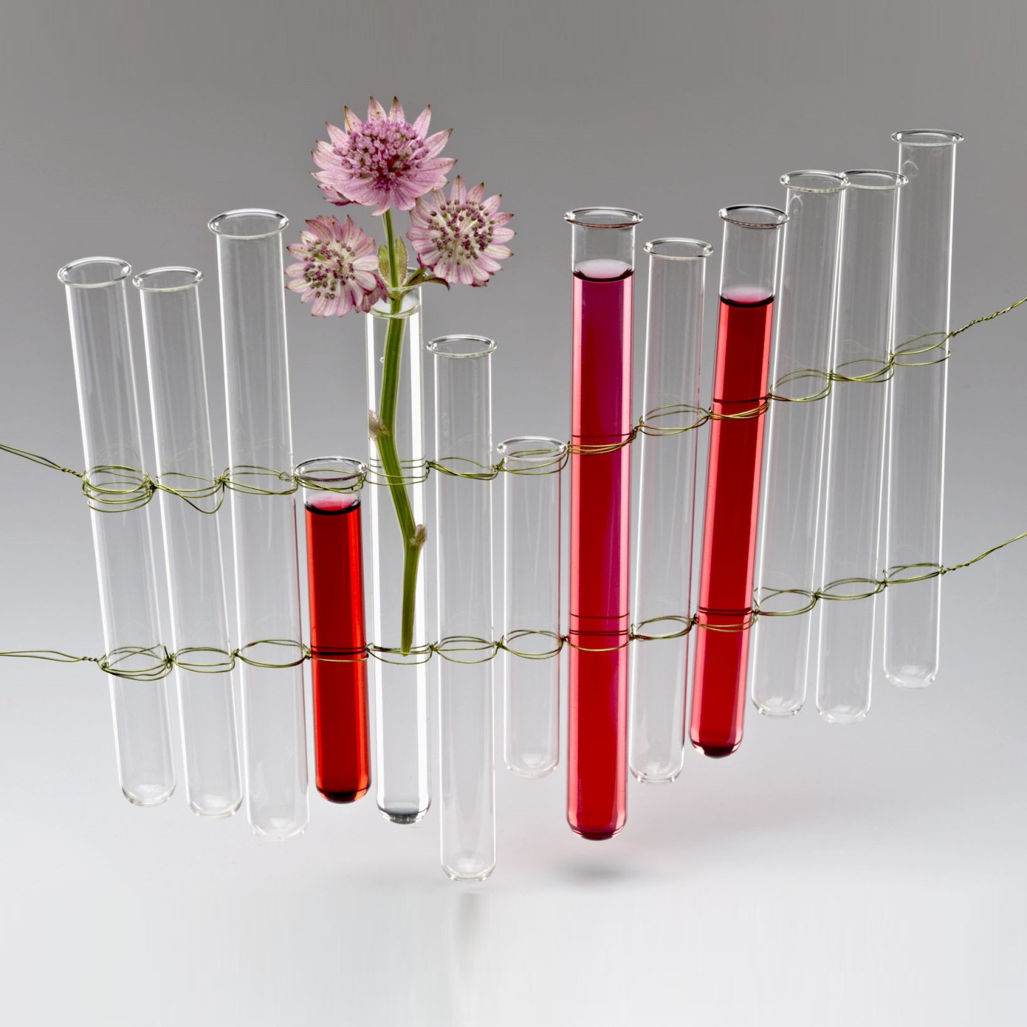 naninoa GmbH Dekovase Reagenzglas 6 Stück, 17,8 x 1,7cm, Blumenvase Glasröhrchen Deko