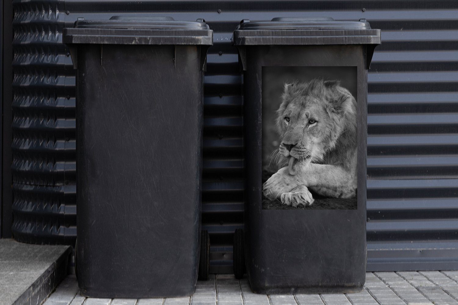 St), - MuchoWow (1 Schwarz Löwe Sticker, Mülleimer-aufkleber, Mülltonne, Abfalbehälter Wild - Wandsticker Container,