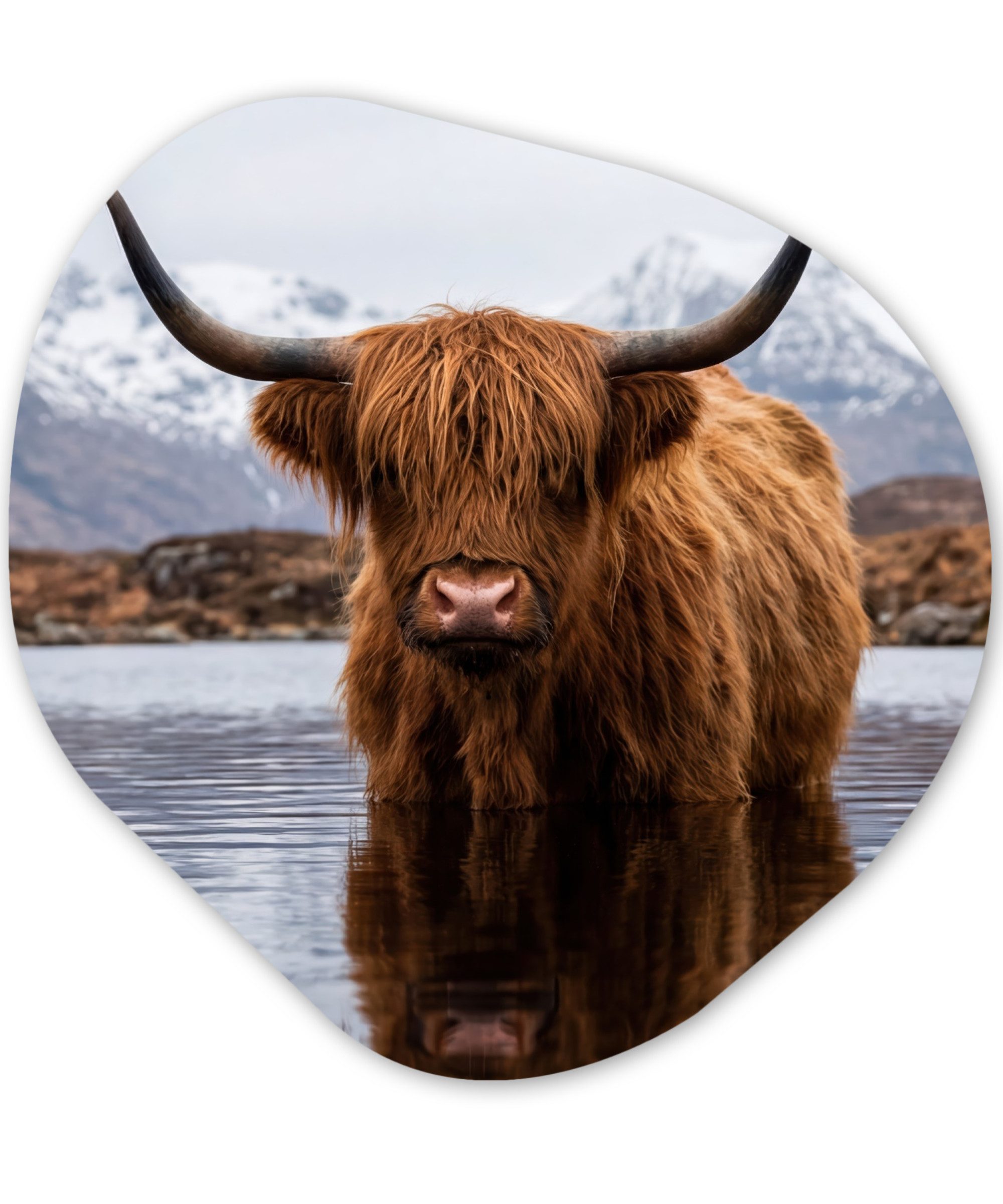 MuchoWow Gemälde Schottischer Hochländer - Braun - Wasser, Fotodruck (1 St), Wandbild Abstrakt, Wohnzimmer Schlafzimmer Wanddekoration, 40x40 cm