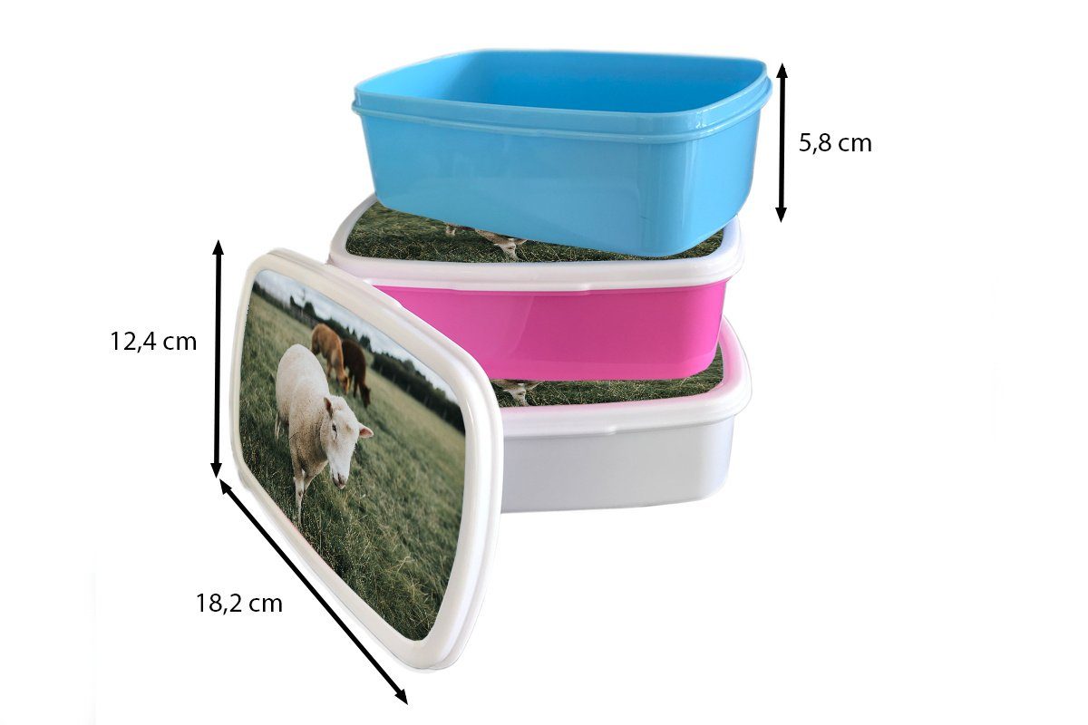 rosa Kunststoff Brotbox Snackbox, Mädchen, Lunchbox Tiere - Schafe - Gras, Erwachsene, Kinder, Brotdose MuchoWow für (2-tlg), Kunststoff,