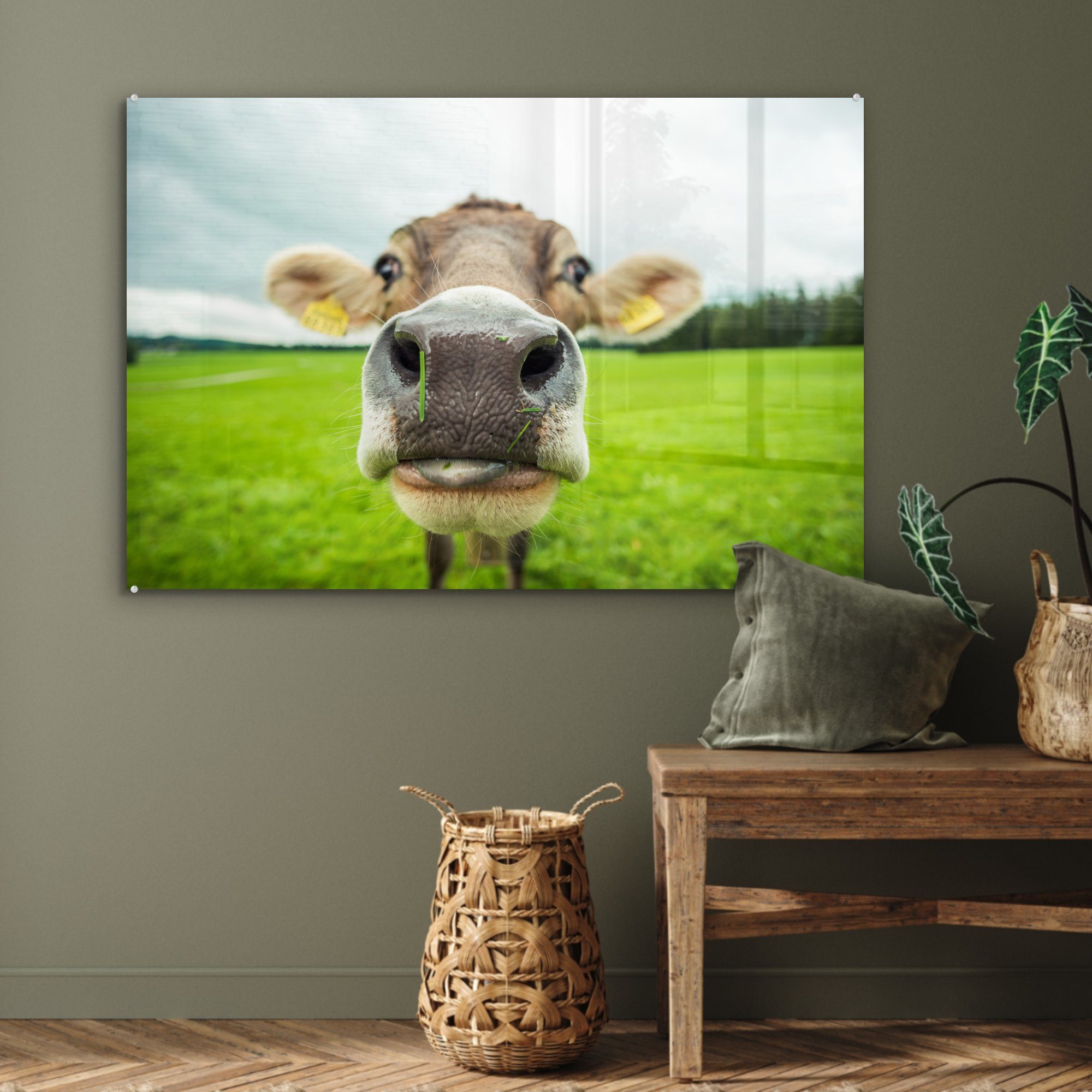 - Wohnzimmer St), Acrylglasbilder - - Acrylglasbild MuchoWow Tiere Kuh Schlafzimmer Makro, (1 & Gras