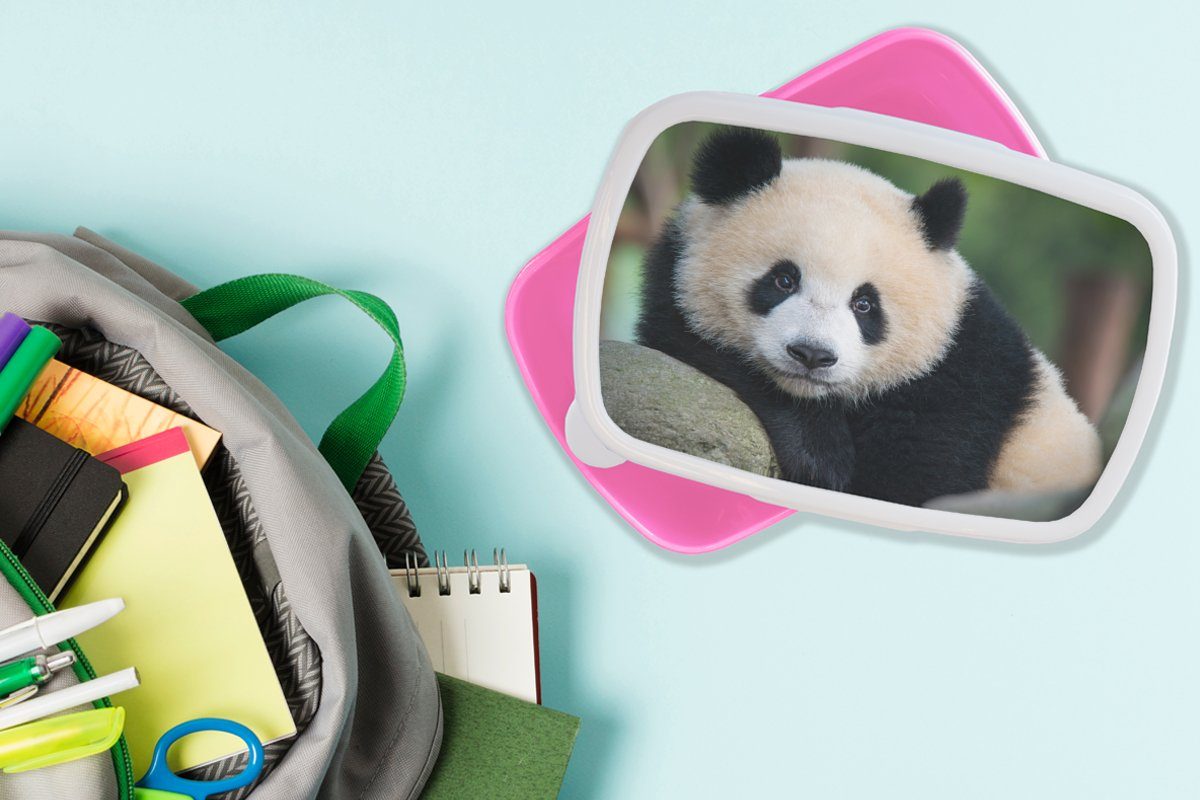 Mädchen, Brotdose Panda für Snackbox, - Stein, - Brotbox - Kunststoff Wildtiere MuchoWow Porträt (2-tlg), Lunchbox Kinder, Erwachsene, rosa Kunststoff,