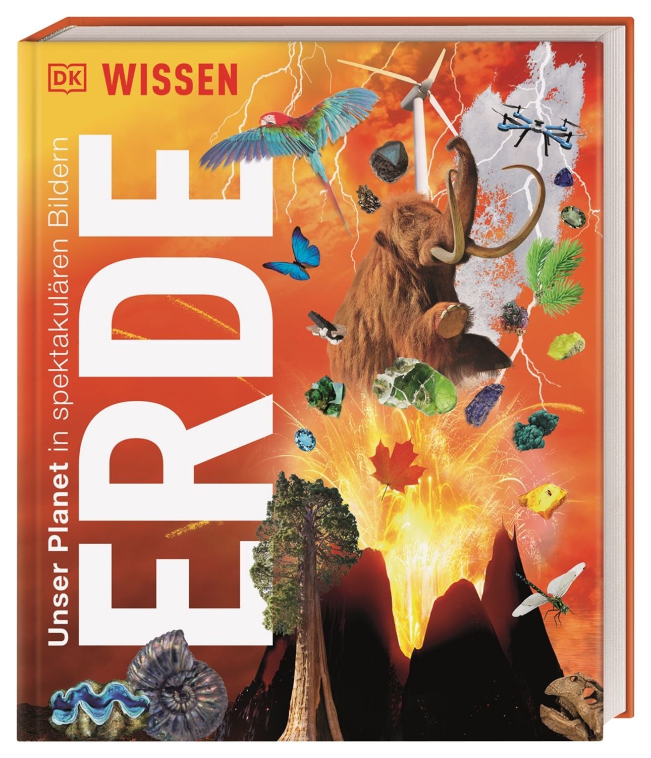 DK Wissen. Erde / diverse