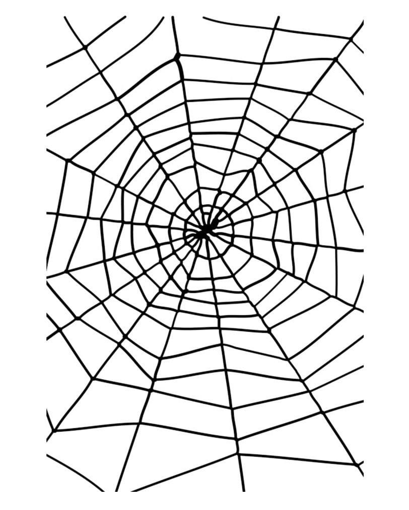 Smiffys Hängedekoration Halloween Seil Spinnennetz mit Spinne Gruselige Ho