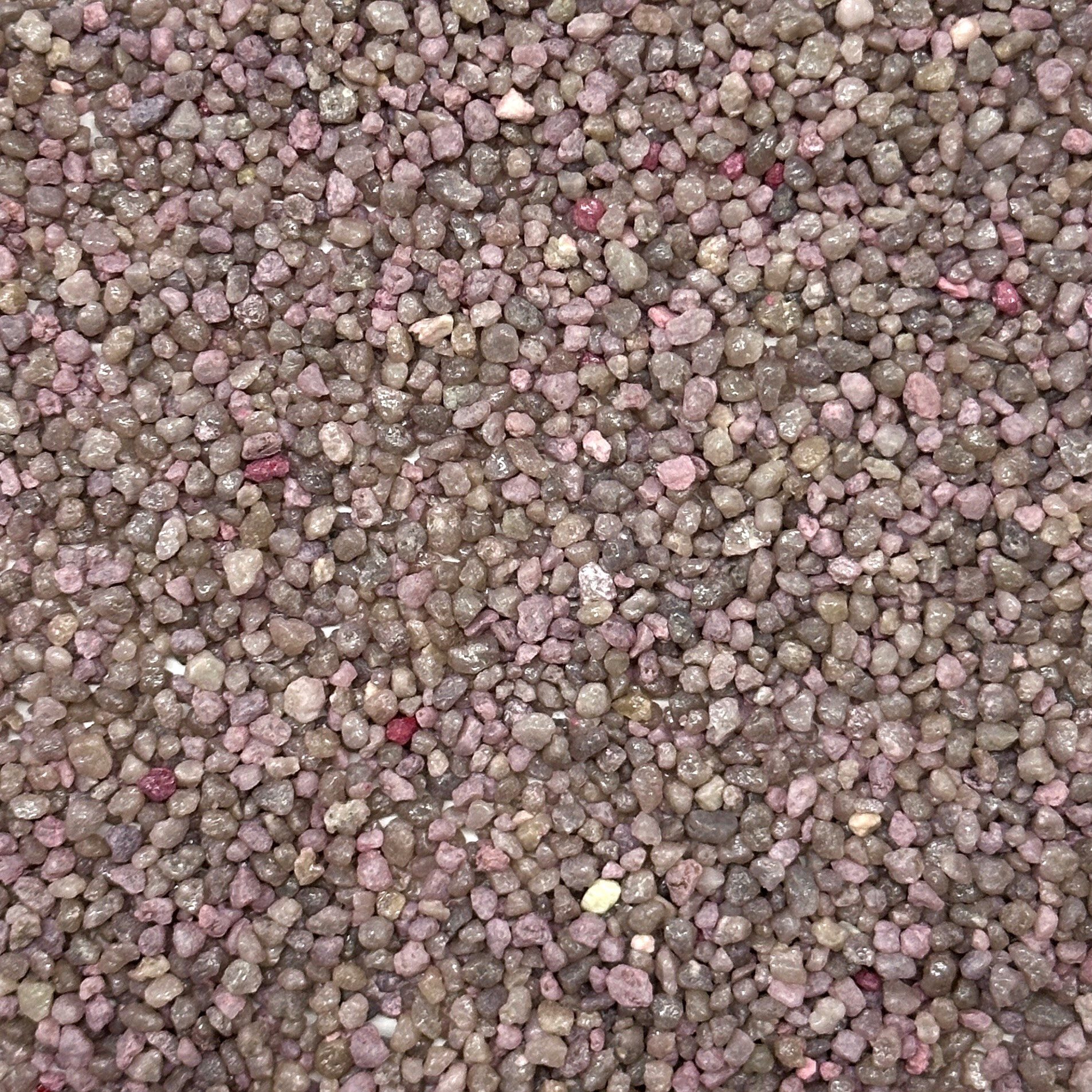 Eurosand Aquarienkies Aquarienkies farbig 2-3 mm Rundkies Bodengrund 5 kg