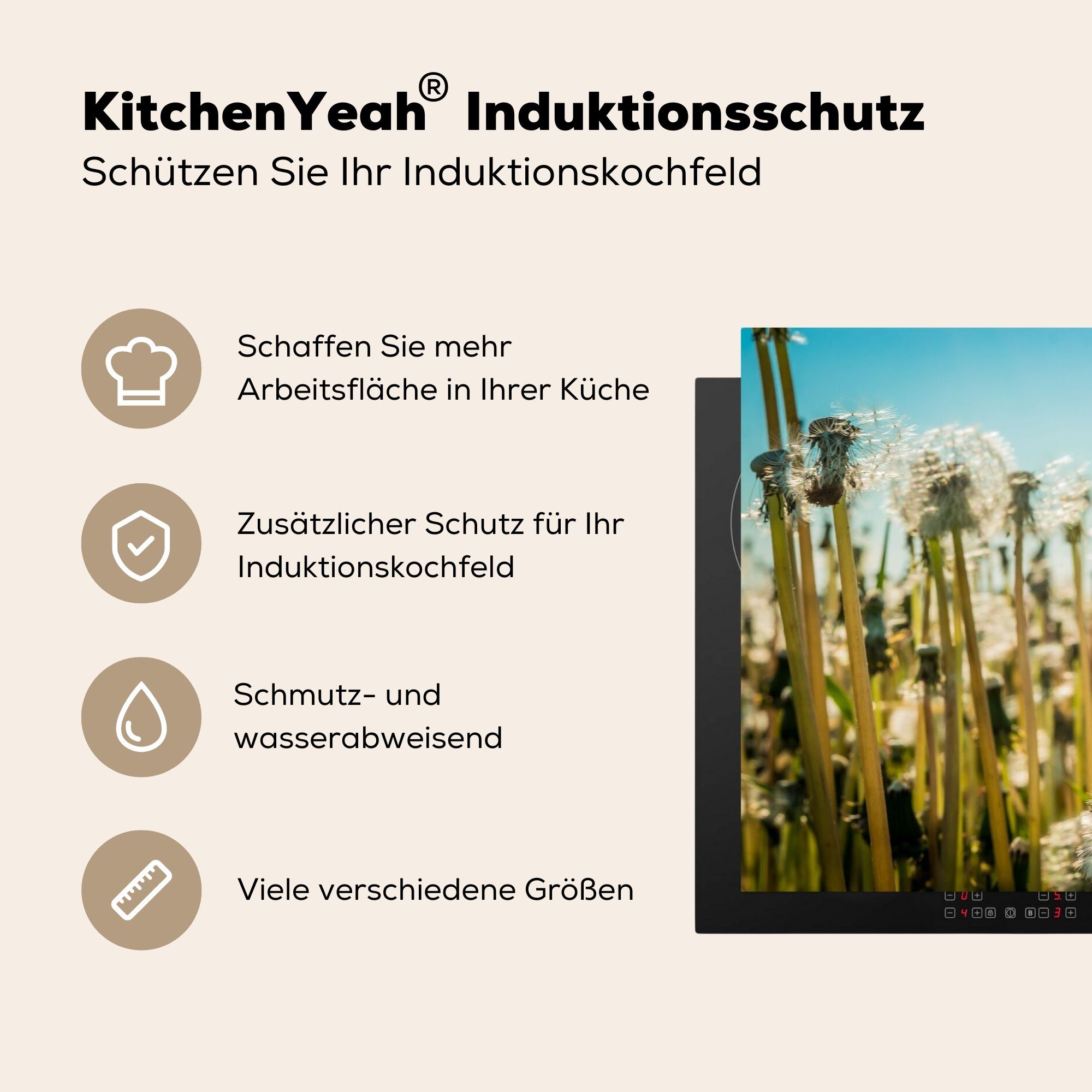 cm, Vinyl, Gras, Blumen Arbeitsplatte Herdblende-/Abdeckplatte - - Ceranfeldabdeckung, MuchoWow küche Löwenzahn tlg), 81x52 für (1