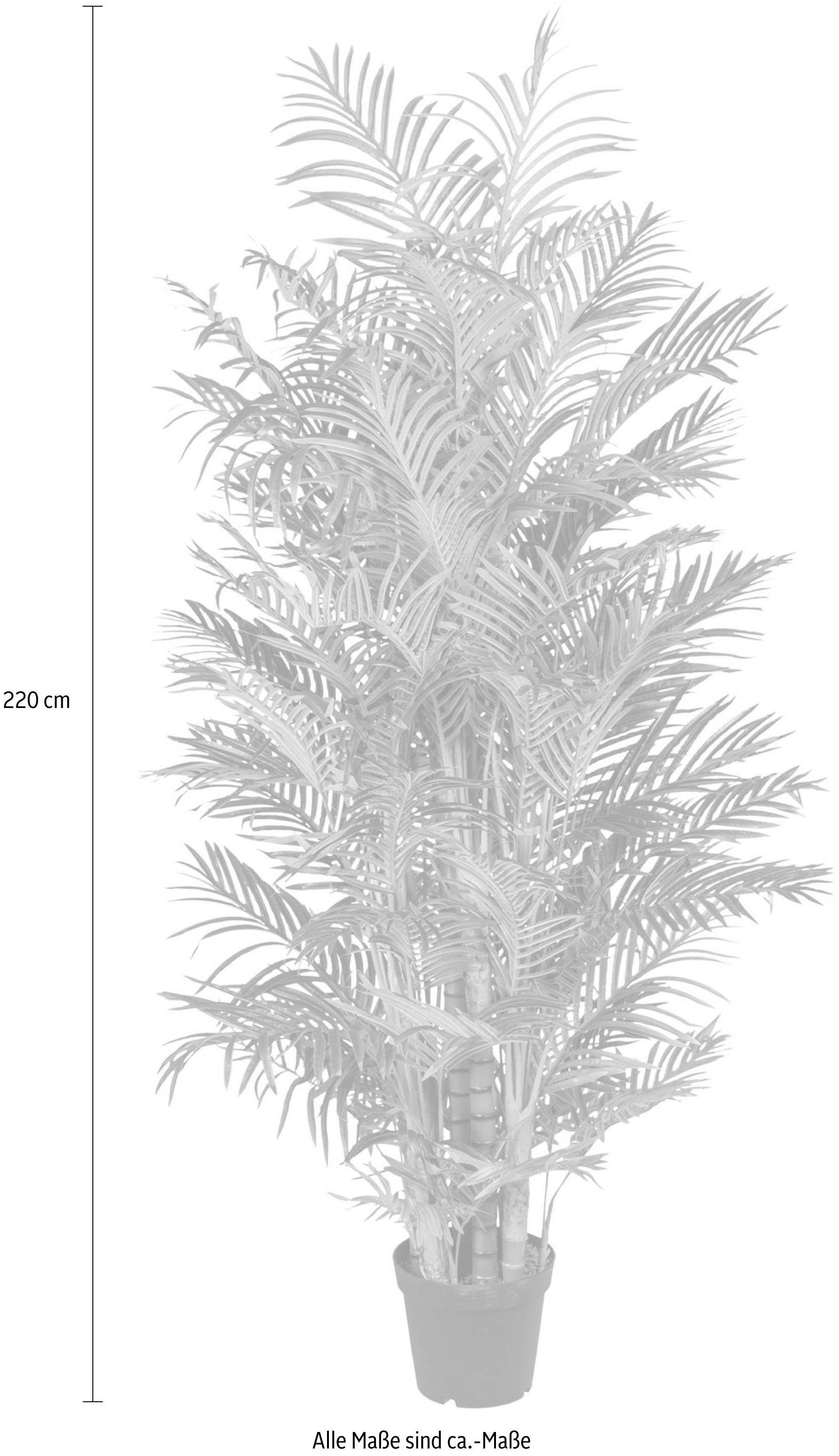 Kunstpalme Arecapalme Palme, Creativ green, Höhe 220 cm