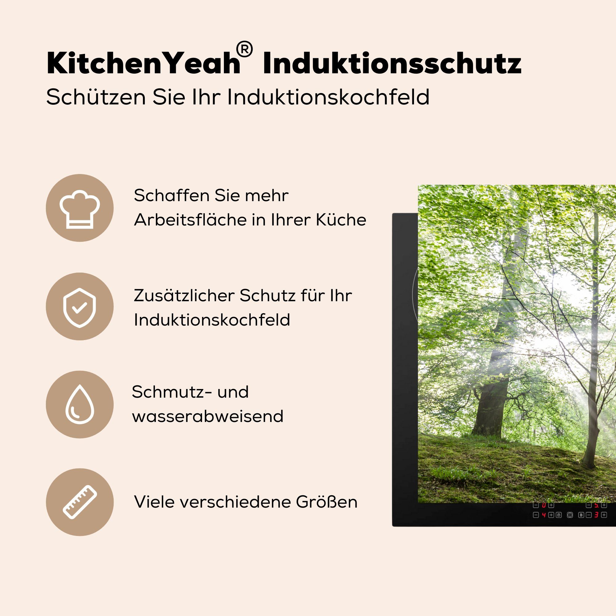 cm, für Vinyl, Wald Ceranfeldabdeckung die - Induktionskochfeld 81x52 Schutz - MuchoWow tlg), Sonne, (1 Herdblende-/Abdeckplatte Bäume küche,