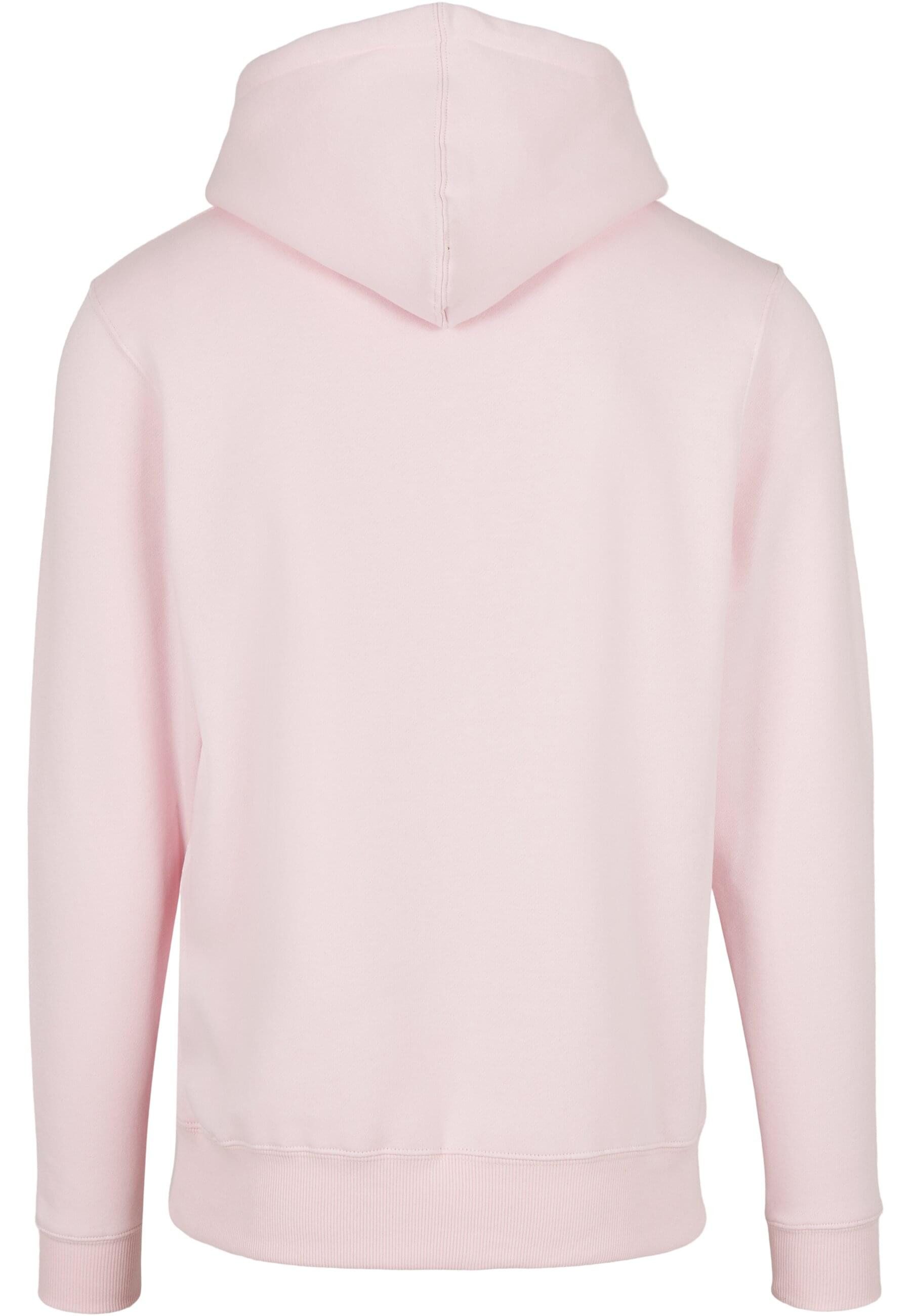 CAYLER & SONS Kapuzensweatshirt Cayler & Sons Herren C&S Plain Hoody (1-tlg günstig online kaufen