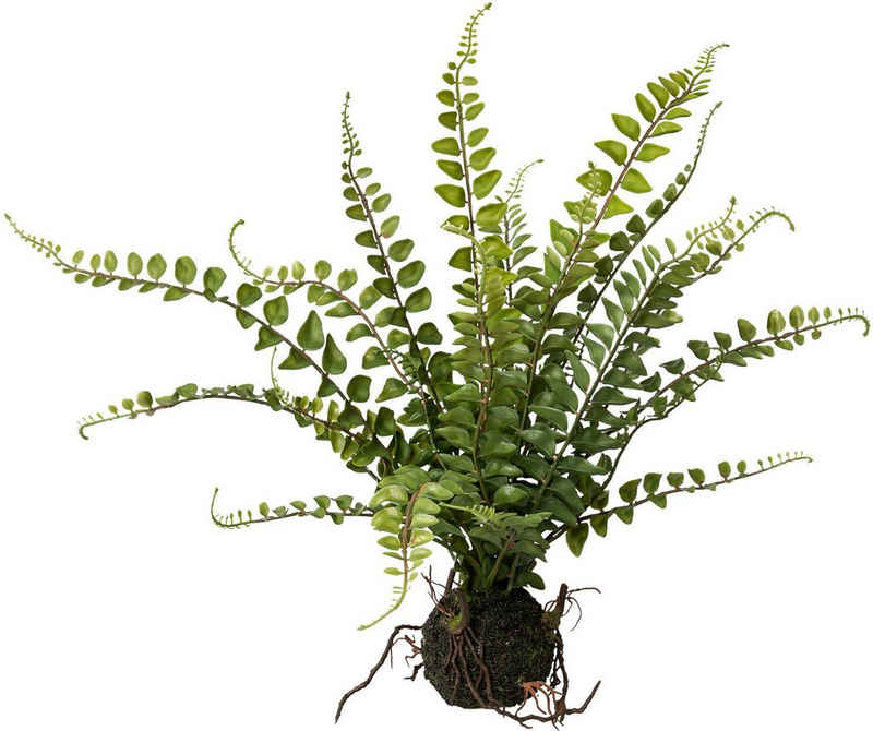 Künstliche Zimmerpflanze Farn im Ballen Farn, Creativ green, Höhe 43 cm