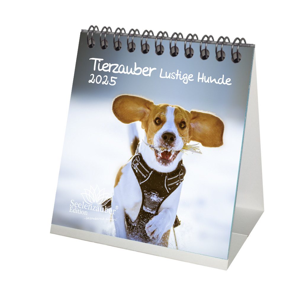 Seelenzauber Tischkalender Tierzauber Lustige Hunde Kalender für 2025 Format 10cm x 10cm Hund