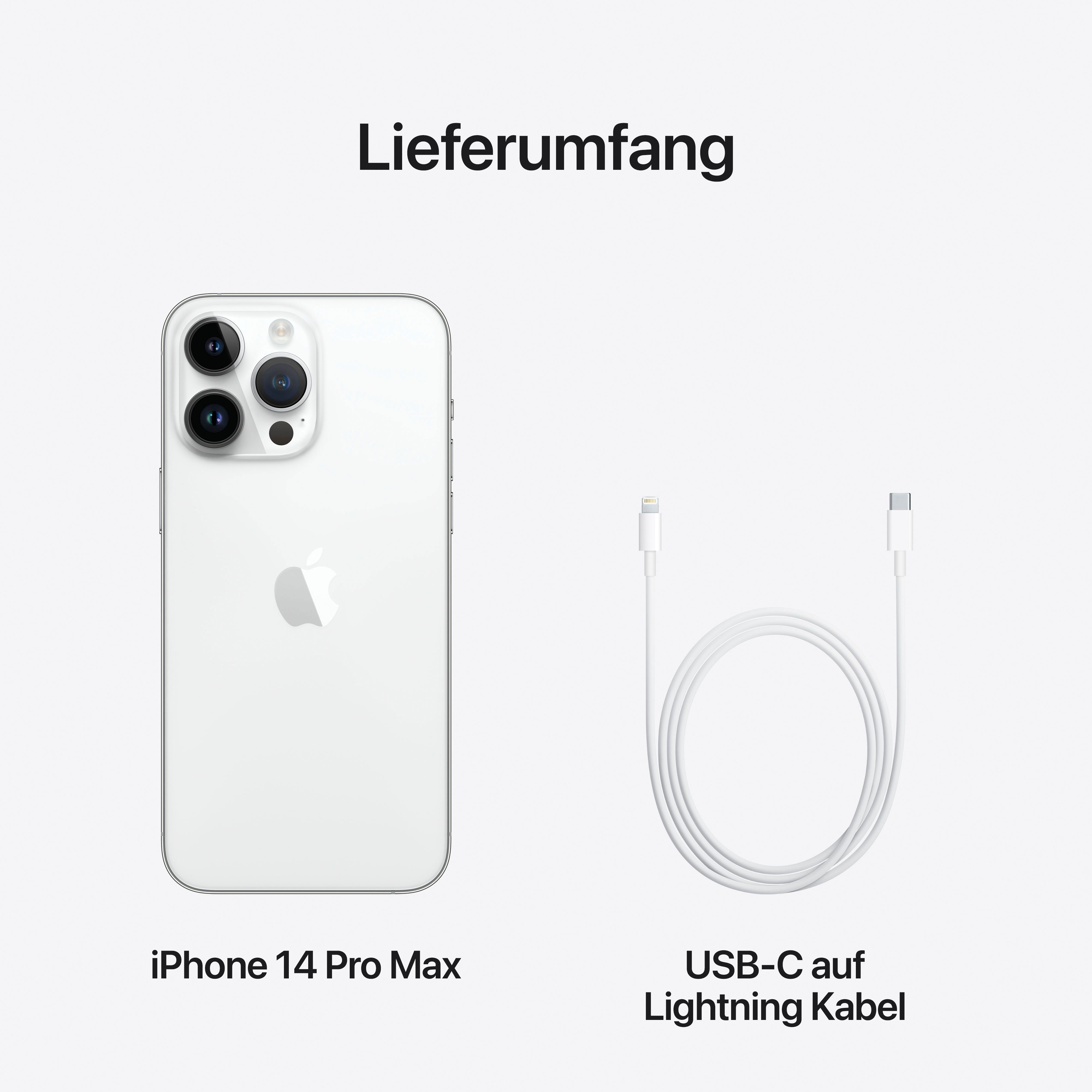 Apple (17 Zoll, Pro 14 48 GB Smartphone 1TB silver cm/6,7 iPhone 1024 Kamera) Speicherplatz, MP Max