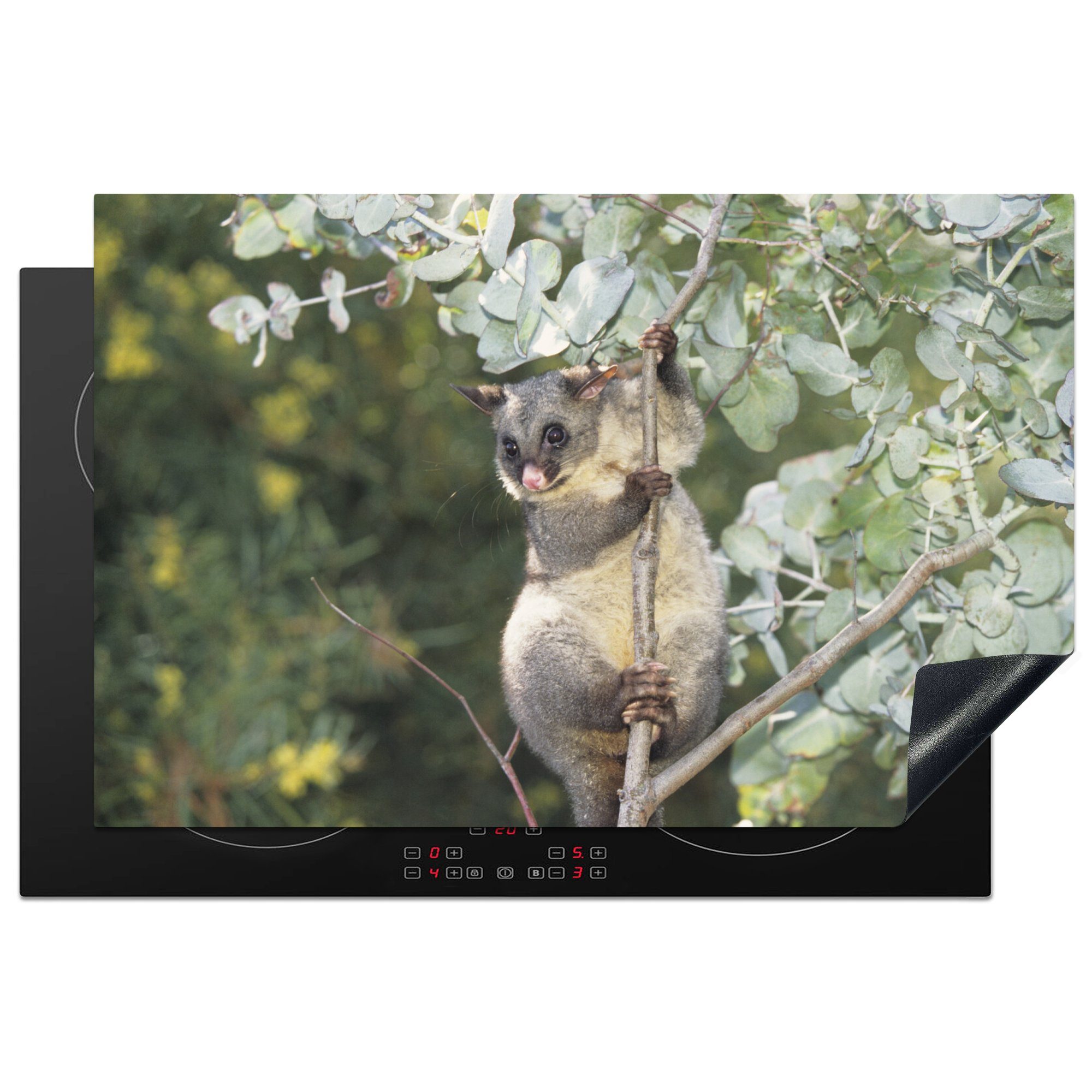 MuchoWow Herdblende-/Abdeckplatte Opossum sitzt auf einem cm, küche, tlg), Schutz 81x52 für die (1 Ceranfeldabdeckung Baum, Induktionskochfeld Vinyl