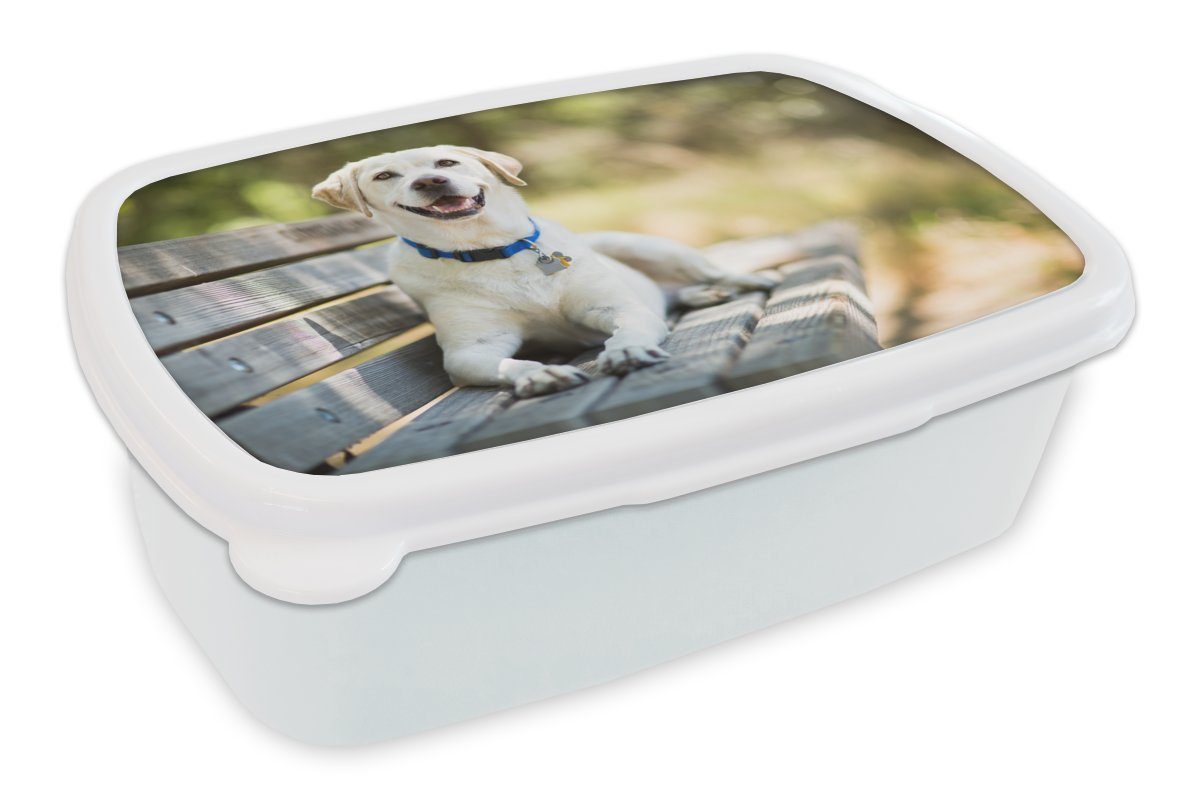 MuchoWow Lunchbox Labrador Retriever auf einer Bank, Kunststoff, (2-tlg), Brotbox für Kinder und Erwachsene, Brotdose, für Jungs und Mädchen weiß