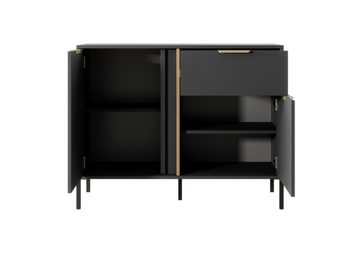 MOEBLO Kommode Nasturtium D 103 2DS (Anthrazite, Golden-Metallgriffe, Sideboard Wohnzimmer Kommode Schlafzimmer Komodenschrank Highboard), B 103,3 cm / H 81,4 cm / T 39,5 cm