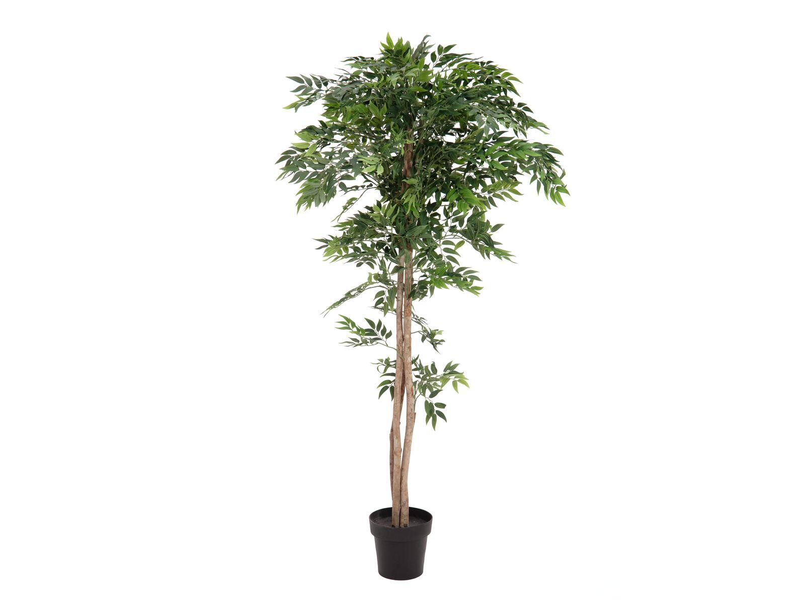 Kunstbaum EUROPALMS Ficus Longifolia, Kunstpflanze, 165cm