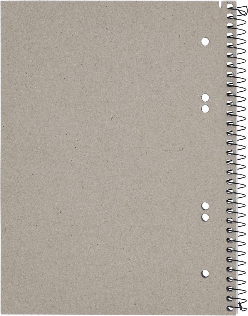 LANDRE Notenblock Collegeblock College A5+ 80 Blatt 70 g/qm 6-fach gelocht kariert