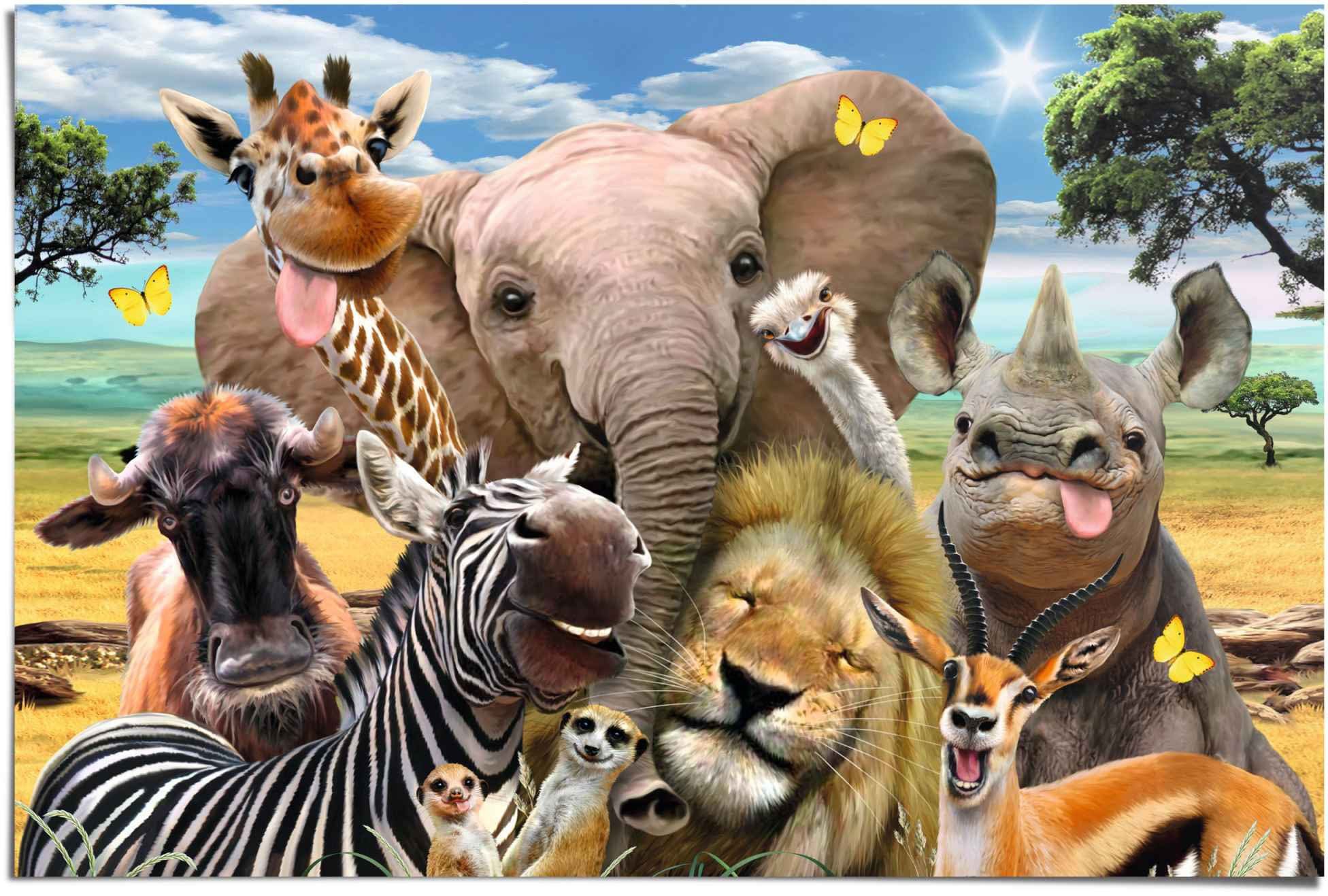 Reinders! Poster Lustige Wildtiere, (1 St) günstig online kaufen