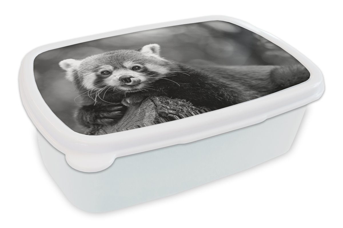 MuchoWow Lunchbox Verrückter roter Panda - schwarz und weiß, Kunststoff, (2-tlg), Brotbox für Kinder und Erwachsene, Brotdose, für Jungs und Mädchen