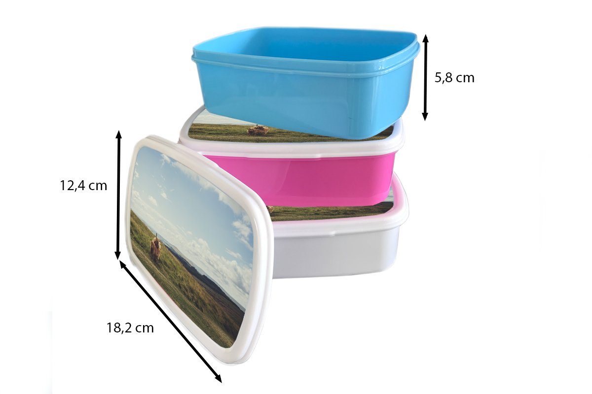 rosa Kunststoff, - Snackbox, Mädchen, MuchoWow Highlander Kunststoff Wolken (2-tlg), Schottische - Tiere, Lunchbox für Brotbox Brotdose - Kinder, Gras Erwachsene,