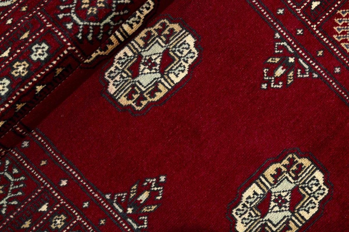 Orientteppich Pakistan Buchara Höhe: Orientteppich Handgeknüpfter 2ply Nain 8 Trading, 76x187 rechteckig, Läufer, mm