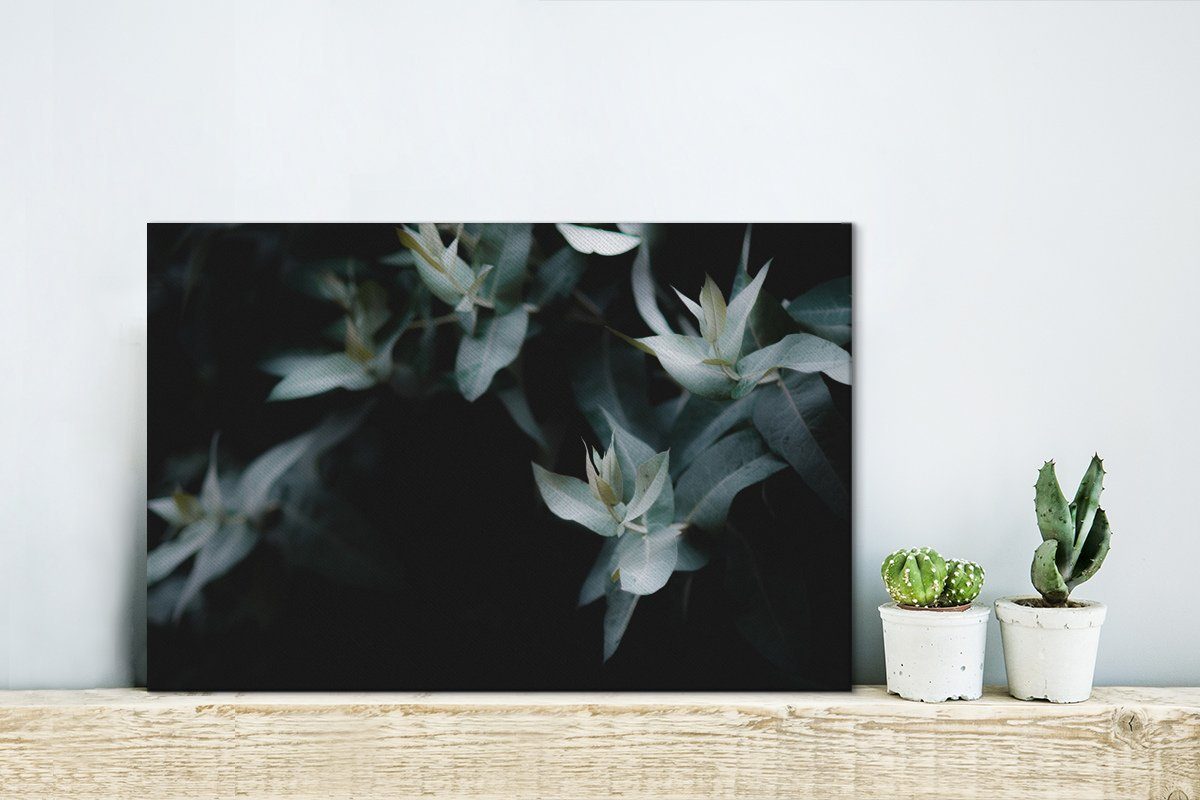 OneMillionCanvasses® Leinwandbild Eukalyptuszweige Hintergrund, Wandbild cm St), dunklem Aufhängefertig, Wanddeko, Leinwandbilder, auf (1 30x20