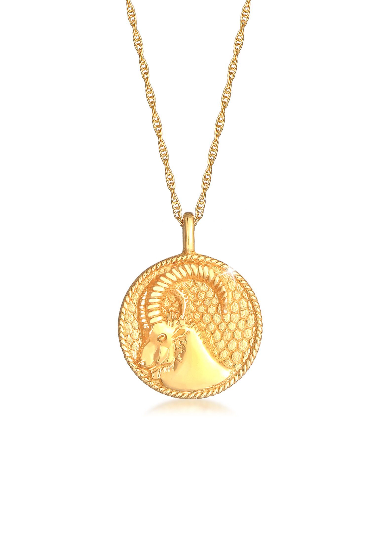 Kette mit Anhänger Sternzeichen Steinbock Astro Münze 925 Silber