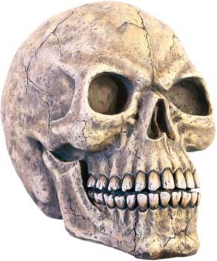 Dekofigur Dekofigur XL Totenkopf Gothic Skull Halloween Dekoration