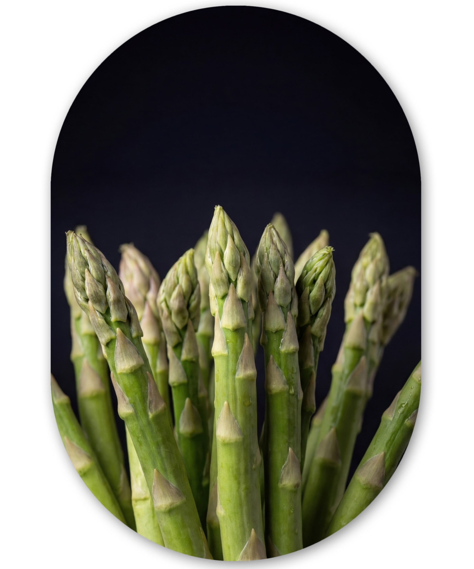 MuchoWow Gemälde Spargel - Grün - Schwarz, Fotodruck (1 St), Wandbild Oval, Wohnzimmer oder Schlafzimmer Wanddekoration, 40x60 cm