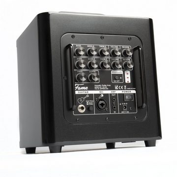 FAME Verstärker (AG-40A, Akustikgitarren Verstärker, Bluetooth-Schnittstelle)