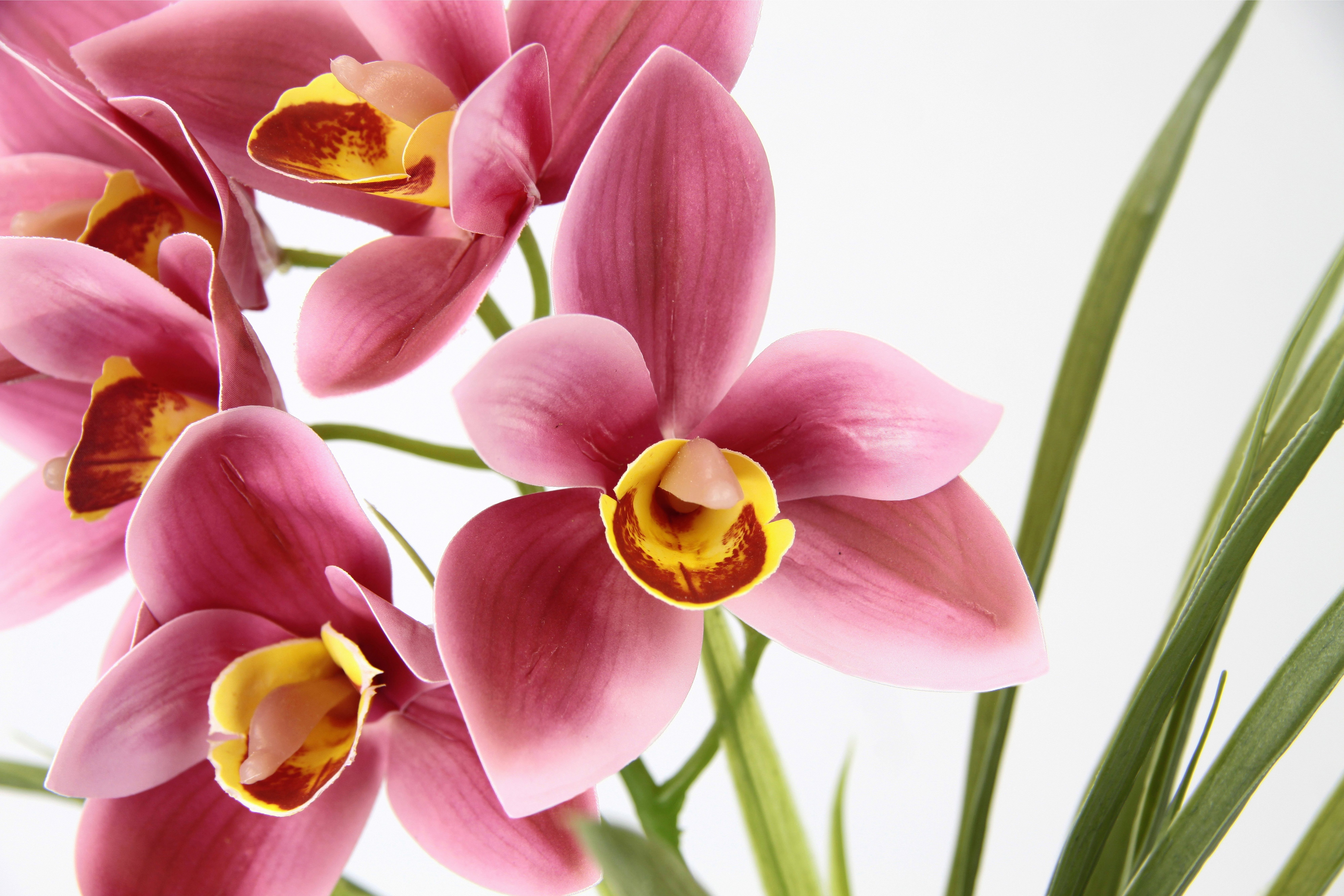 Blume my Höhe Zement Künstliche im home, Cymbidium-Orchidee Orchidee, aus cm, Kunstblume Rosa 40 Blätter Mit Topf