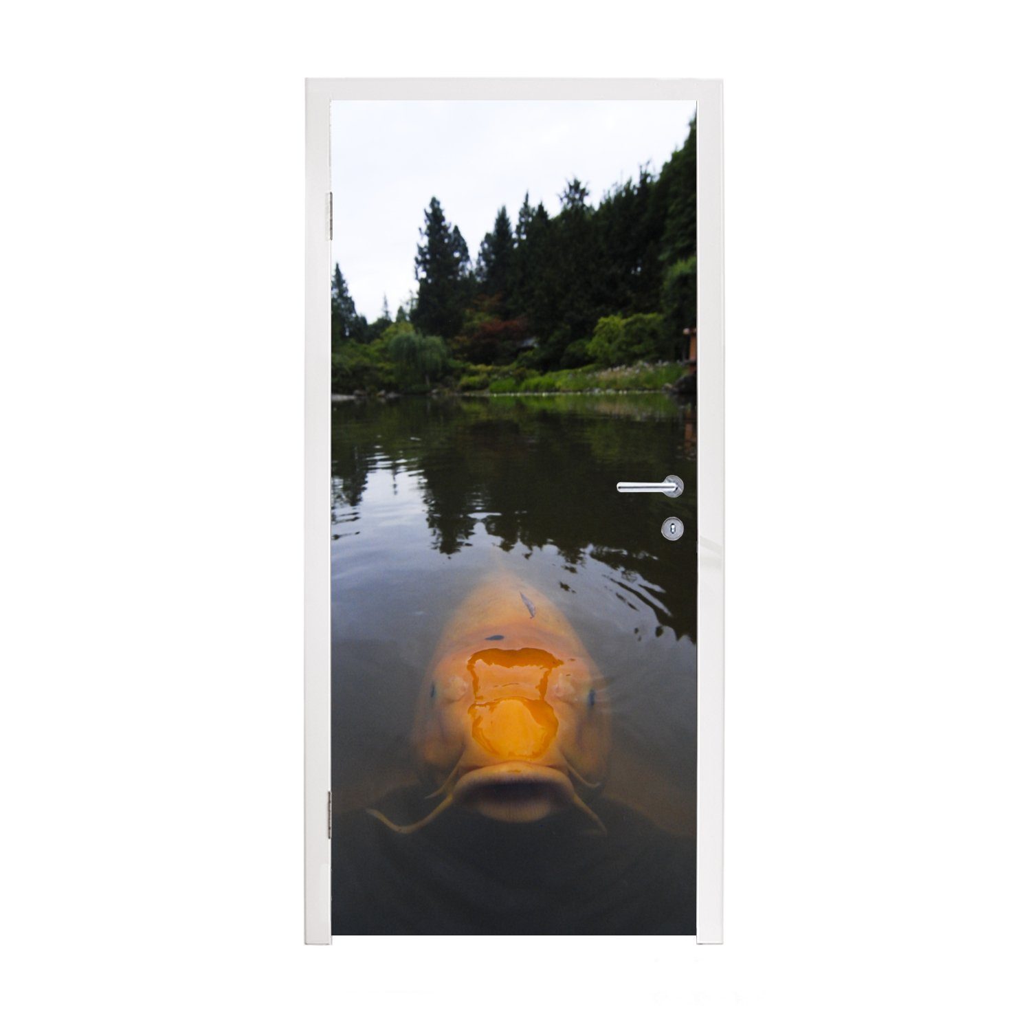 MuchoWow Türtapete Ein riesiger Koi-Karpfen im Wasser, Matt, bedruckt, (1 St), Fototapete für Tür, Türaufkleber, 75x205 cm