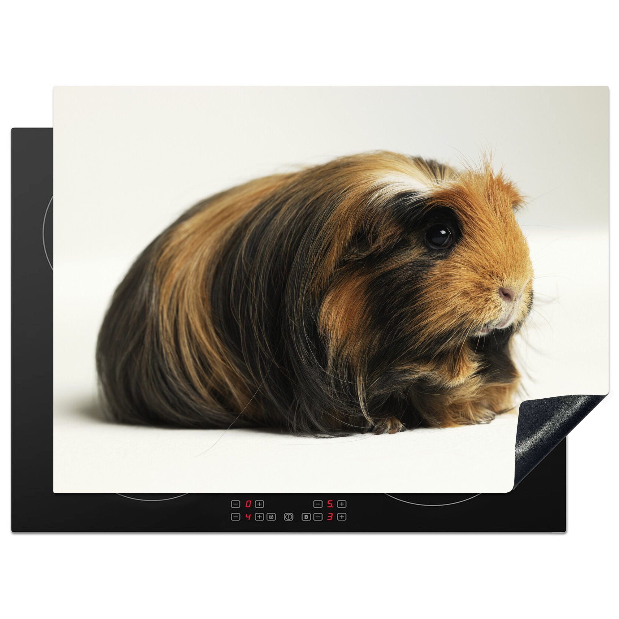 MuchoWow Herdblende-/Abdeckplatte Schwarz-weißes Meerschweinchen, Vinyl, (1 tlg), 70x52 cm, Mobile Arbeitsfläche nutzbar, Ceranfeldabdeckung