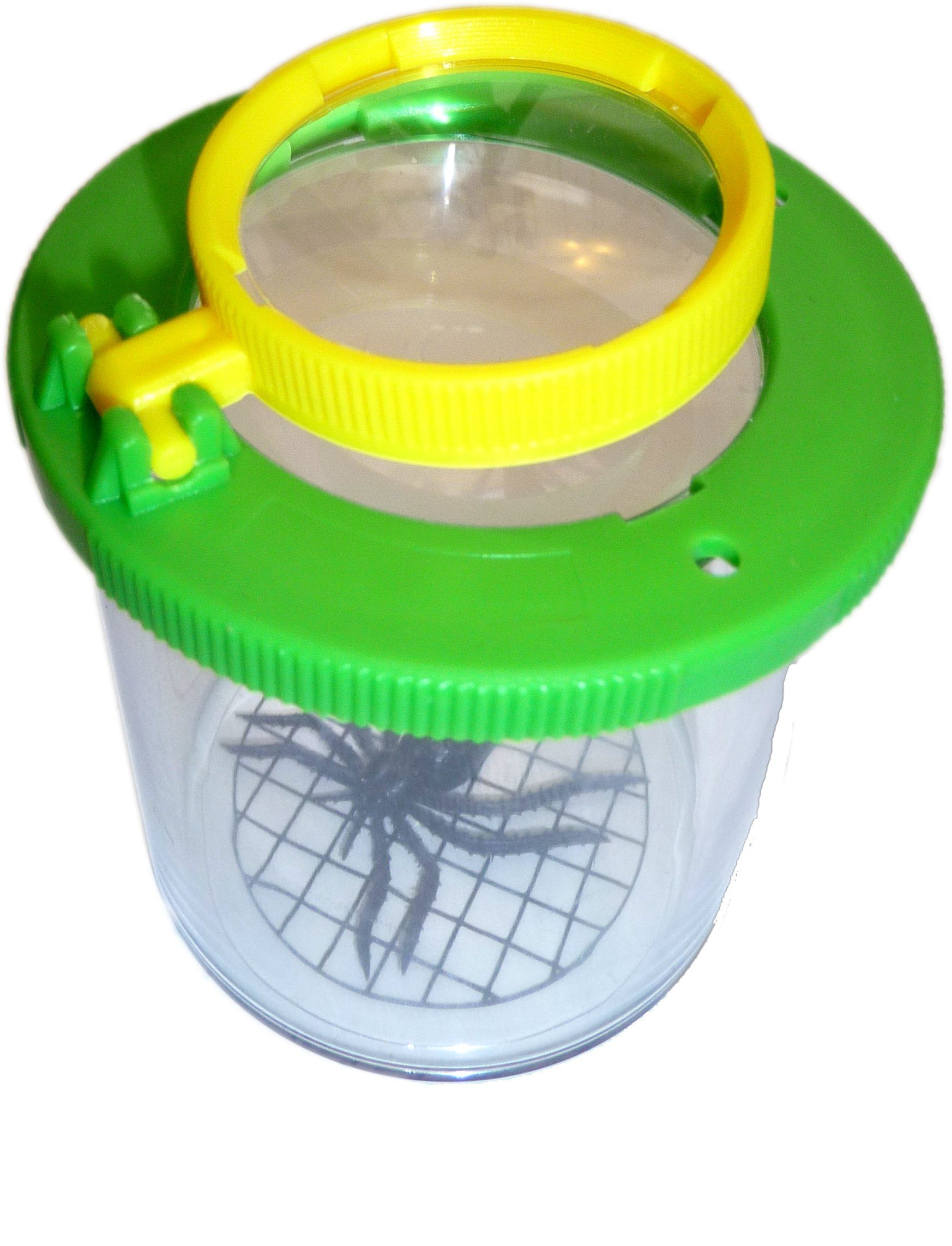 Edu-Toys Becherlupe Lupendose Becherlupe Insektenlupe grün, 2 bis 10 Stück bitte Variante auswählen, 2-tlg., wie für die Varianten notiert, mit Luftlöchern und mm-Skala