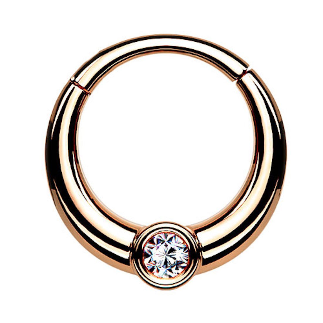 Nasenpiercing Septum Piercing Ring Segmentring Clicker Scharnier Glitzer Kristall