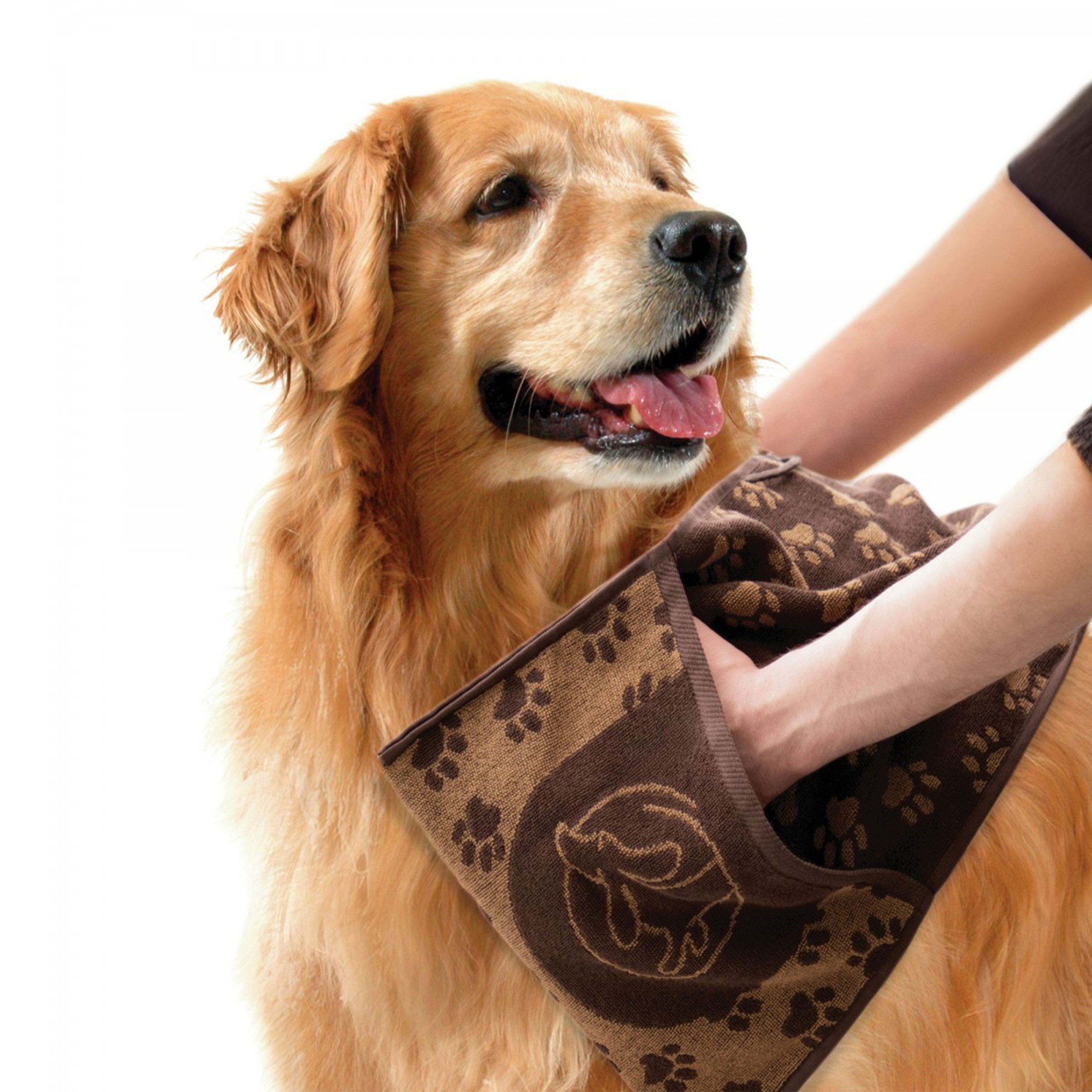 Zwoltex Hundehandtuch Für kleine Tiere & Teilbereiche – kompakt und weich, (Baumwollhandtuch 95° Größe 30×80 Kompakt & sanft), Saugstarkes Tierhandtuch 95° – ideal für gezieltes Abtrocknen