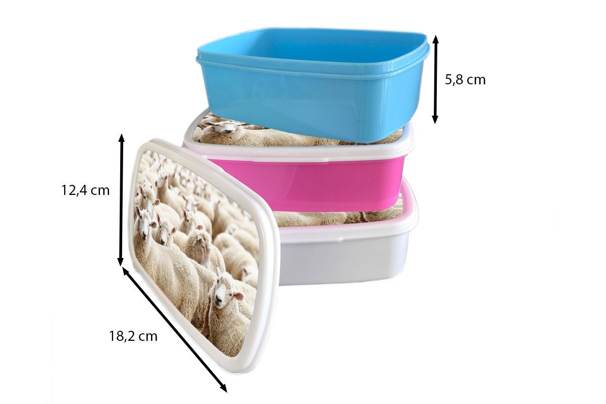 - Schafe Brotbox für Jungs und Brotdose, Weiß, (2-tlg), - Mädchen und Erwachsene, für Kunststoff, Wolle Kinder Lunchbox MuchoWow