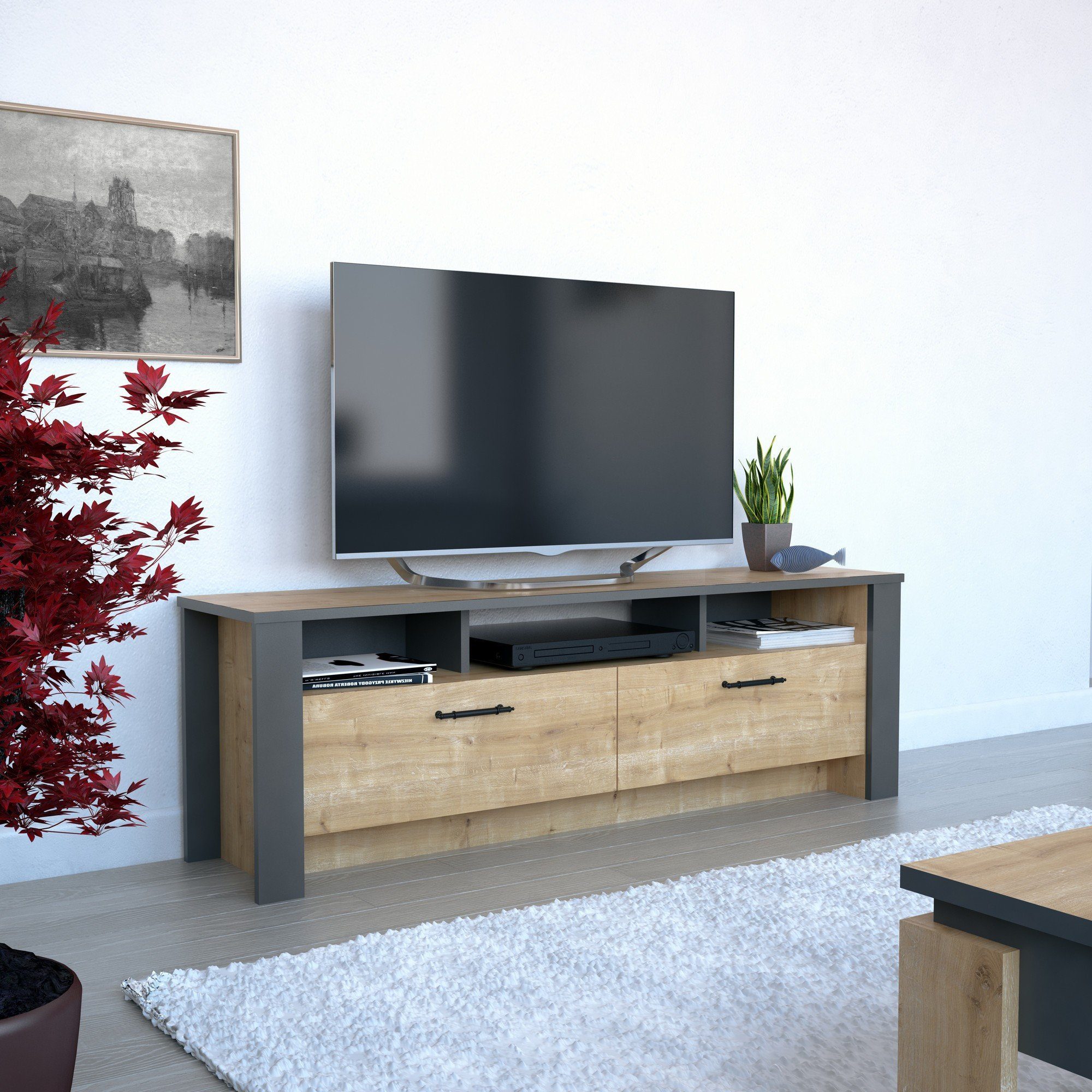 Skye Decor TV-Schrank Schränke, 48,7x150x35 cm, 100% Melaminbeschichtete Partikelplatte
