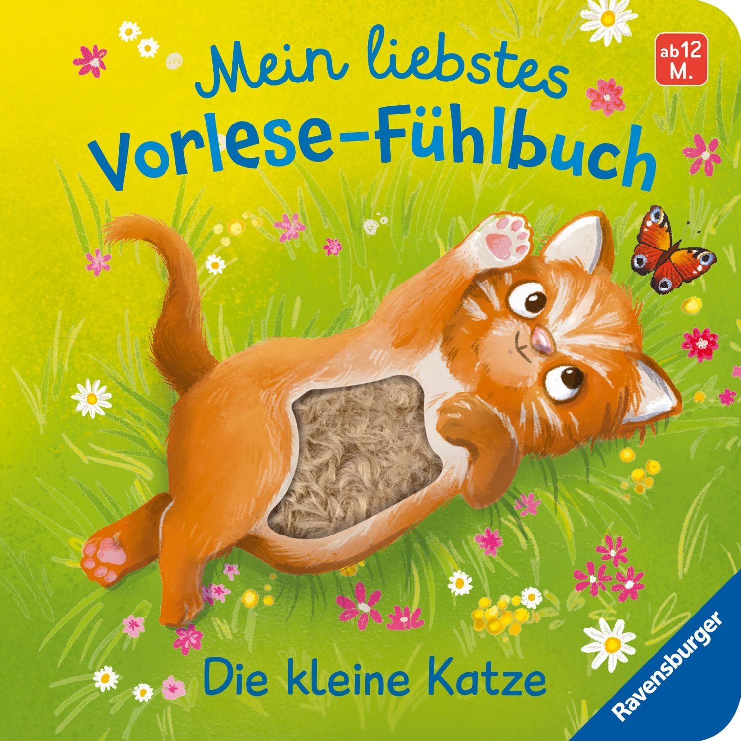 Mein liebstes Vorlese-Fühlbuch - Die kleine Katze / Maria Höck