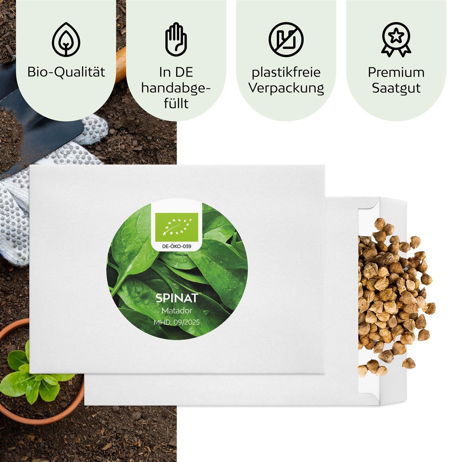 Growgreens Gemüsesamen BIO Spinat Samen (Matador) - Spinat Saatgut aus bio. Anbau (150 Korn), Gemüse – Bild 4 von 5